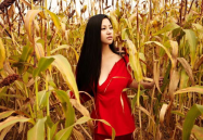 苏梓玲红高粱写真,激情燃烧的岁月